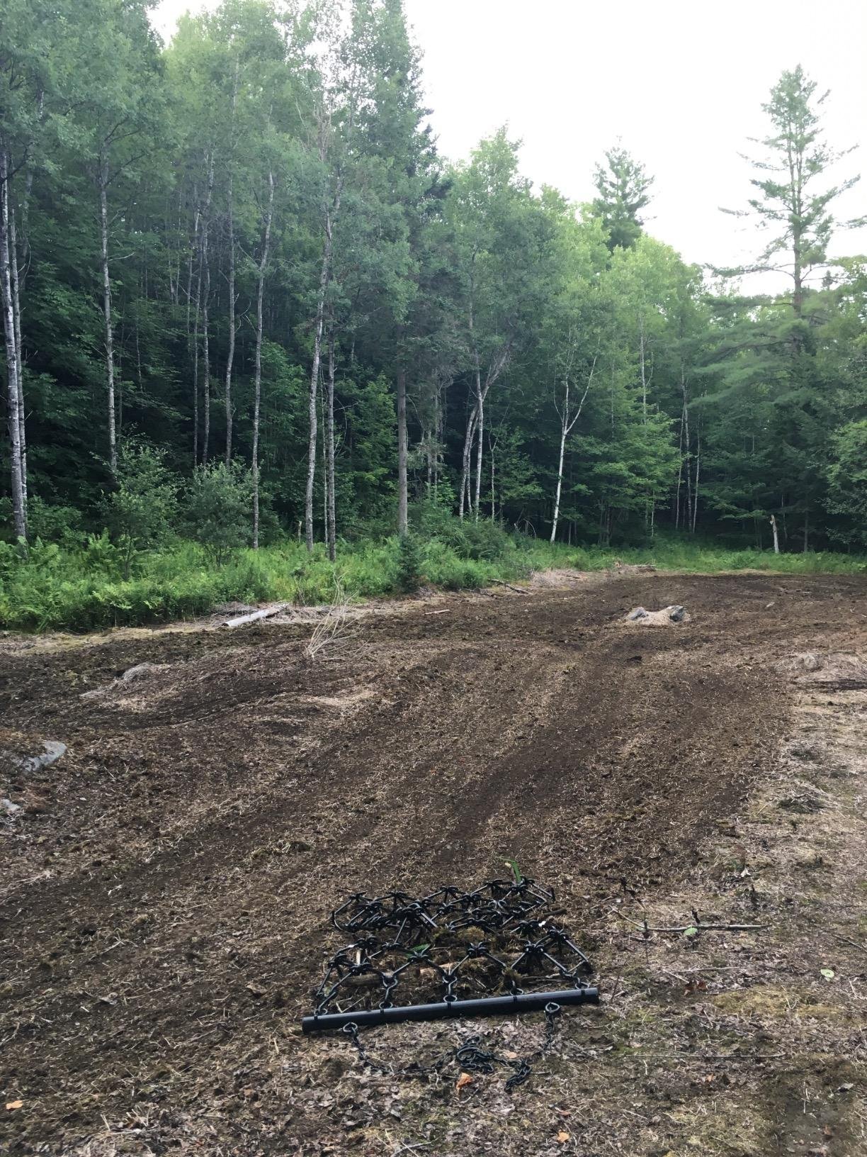 Field Tuff drag harrow sitting on freshly worked soil at the edge of a wooded clearing